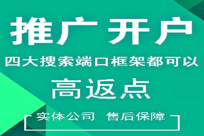 百度广告投放策略优化及成功案例解析